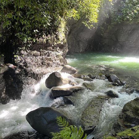 Holos Retreat Center: The Entire Ridge Basecamp Barú エクステリア 写真